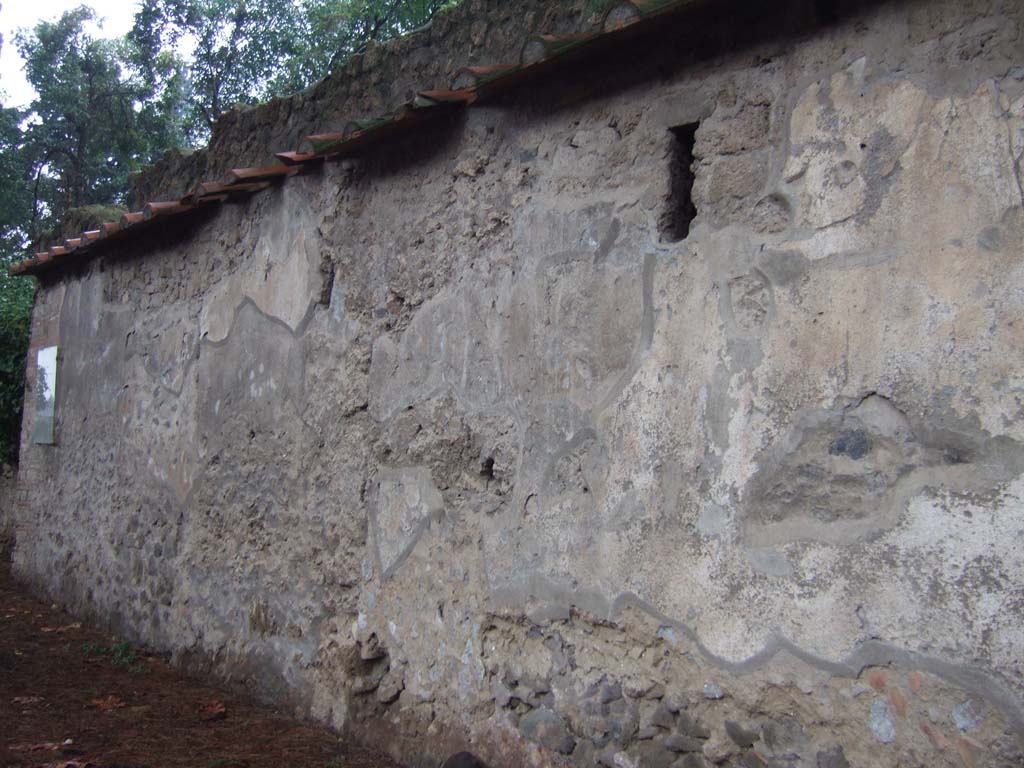 II.3.8 Pompeii. December 2005. South exterior wall of II.3.8, looking west towards II.3.9 and CIL IV 7573, covered with plastic (see below)
According to Varone and Stefani, on this area of the wall, CIL IV 7987 and CIL IV 7572 were found.
See Varone, A. and Stefani, G., 2009. Titulorum Pictorum Pompeianorum, Rome: L’erma di Bretschneider, (p.207-8)

According to Epigraphik-Datenbank Clauss/Slaby (See www.manfredclauss.de) these read:

A(uli)  [Suetti]  Certi  [familia  gladiatoria  pugnabit (?)     [CIL IV 7987]

Paquium  Probum
Adve()  fac(it)  II vir(um)    [CIL IV 7572]
