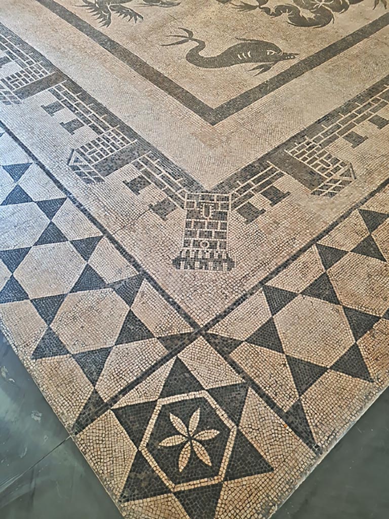 II.4.6 Pompeii. June 2024. Looking across mosaic floor from corner edge of border. 
On display in Naples Archaeological Museum, room CXXXII (132).  Photo courtesy of Giuseppe Ciaramella.
