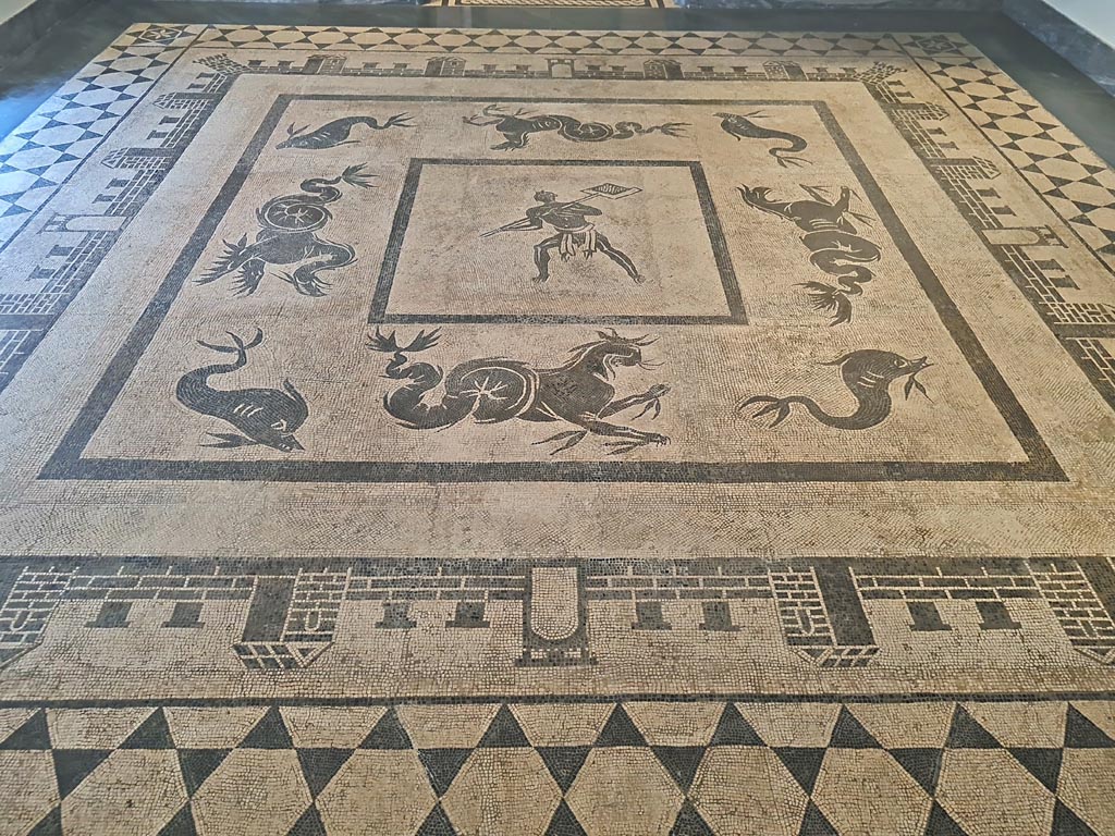 II.4.6 Pompeii. July 2024. 
Mosaic floor in Room CXXXII (132).  On display in Naples Archaeological Museum. Photo courtesy of Giuseppe Ciaramella.
(Note: this mosaic has also been entered into VI.1.25, Pompeii).


