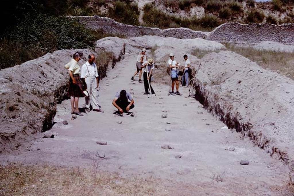 II.5 Pompeii. 1966. Lines of root cavities, all protected by a stone, planted almost exactly four Roman feet apart. Photo by Stanley A. Jashemski.
Source: The Wilhelmina and Stanley A. Jashemski archive in the University of Maryland Library, Special Collections (See collection page) and made available under the Creative Commons Attribution-Non Commercial License v.4. See Licence and use details.
J66f0732
