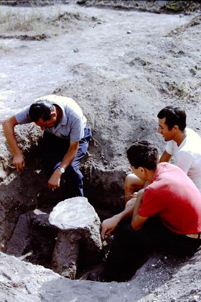 II.5 Pompeii. 1966. Clearing the last of the soil. Photo by Stanley A. Jashemski.
Source: The Wilhelmina and Stanley A. Jashemski archive in the University of Maryland Library, Special Collections (See collection page) and made available under the Creative Commons Attribution-Non Commercial License v.4. See Licence and use details.
J66f1108
