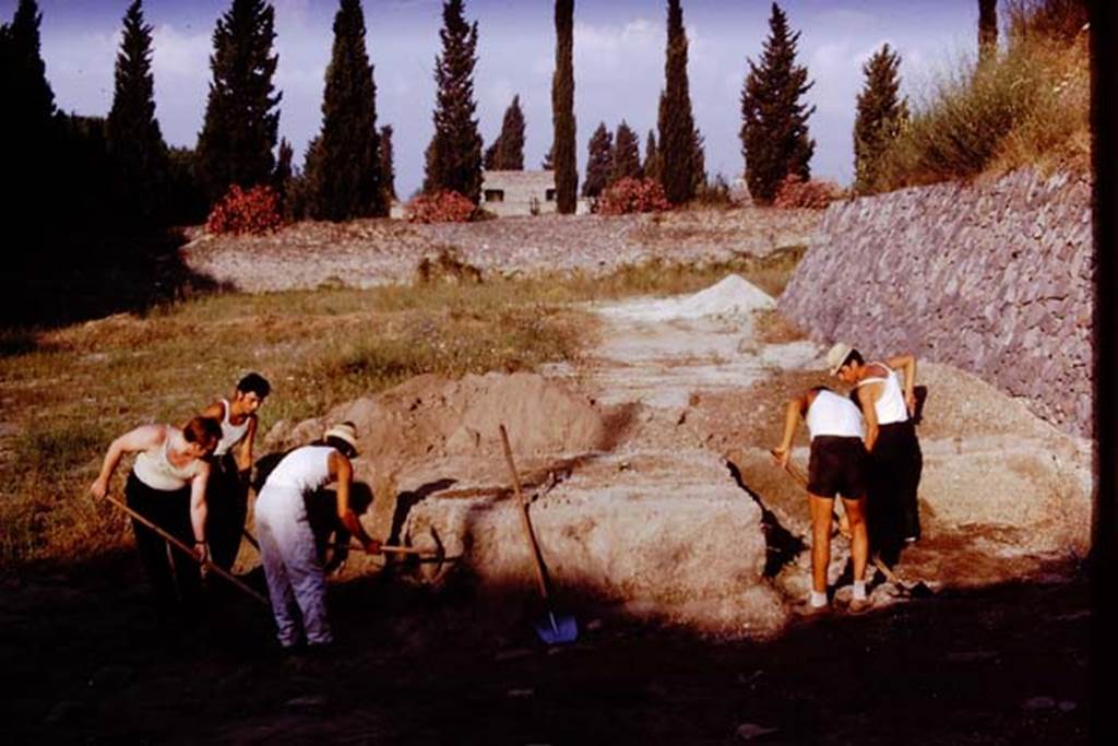 II.5 Pompeii. 1970. Looking west from south side of new retaining wall.   Photo by Stanley A. Jashemski.
Source: The Wilhelmina and Stanley A. Jashemski archive in the University of Maryland Library, Special Collections (See collection page) and made available under the Creative Commons Attribution-Non Commercial License v.4. See Licence and use details.
J70f0594
