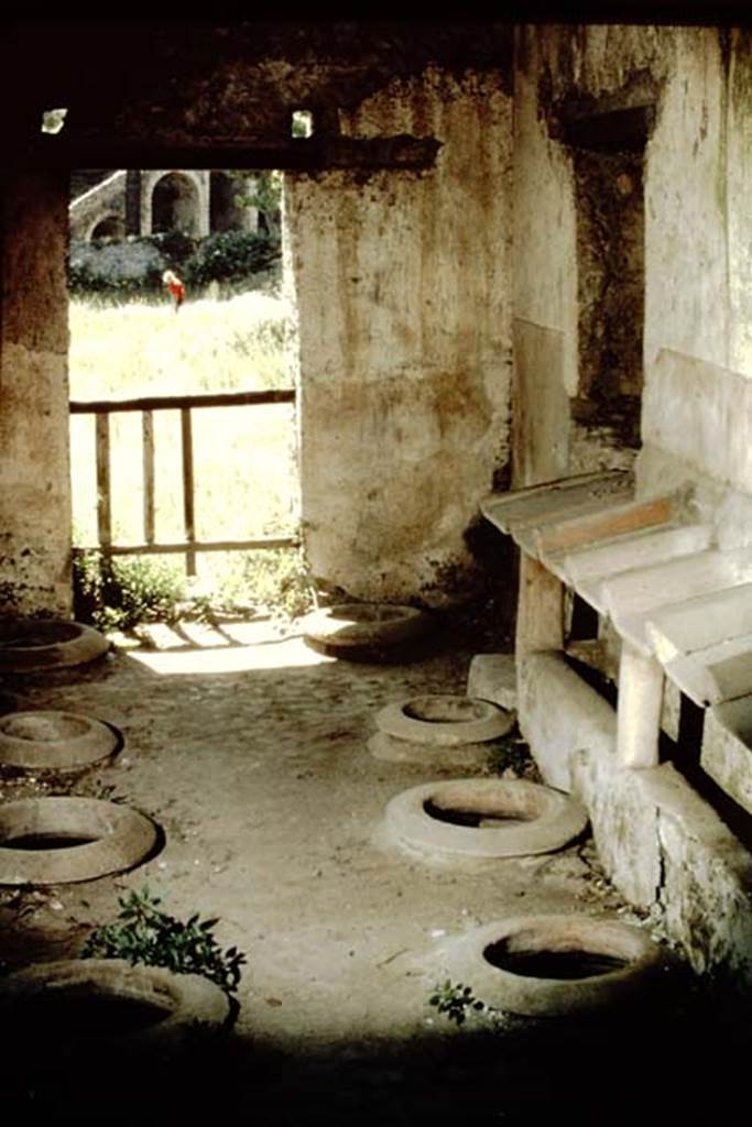 II.5.5 Pompeii. 1966. Looking south in building where wine was made. Photo by Stanley A. Jashemski.
Source: The Wilhelmina and Stanley A. Jashemski archive in the University of Maryland Library, Special Collections (See collection page) and made available under the Creative Commons Attribution-Non Commercial License v.4. See Licence and use details.
J66f0351

