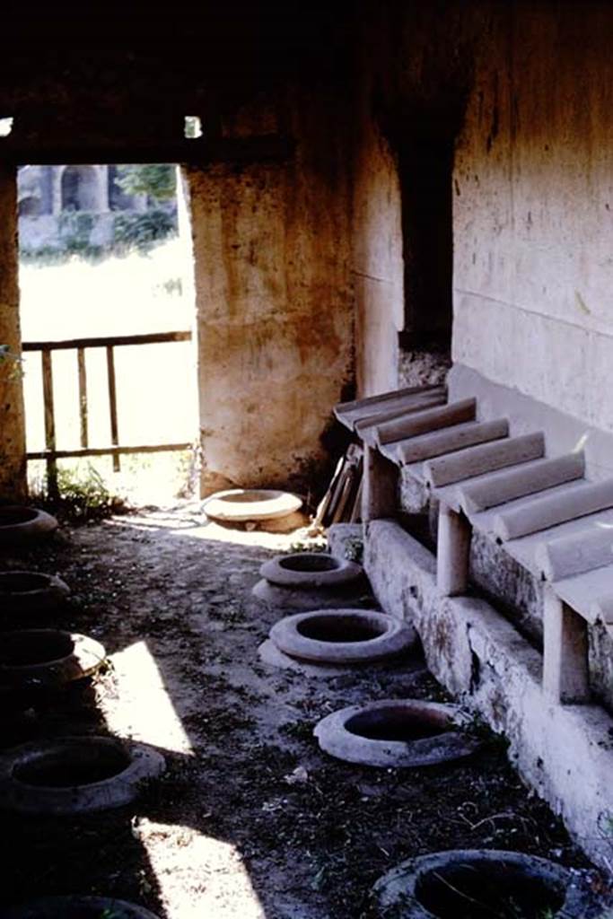 II.5.5 Pompeii. 1964. Looking south in building where wine was made. Photo by Stanley A. Jashemski.
Source: The Wilhelmina and Stanley A. Jashemski archive in the University of Maryland Library, Special Collections (See collection page) and made available under the Creative Commons Attribution-Non Commercial License v.4. See Licence and use details.
J64f2012
