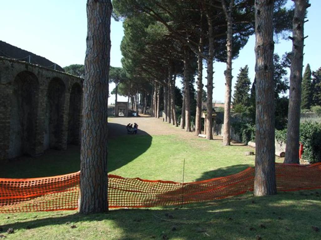 II.6 Pompeii. March 2009. North-east side of amphitheatre.