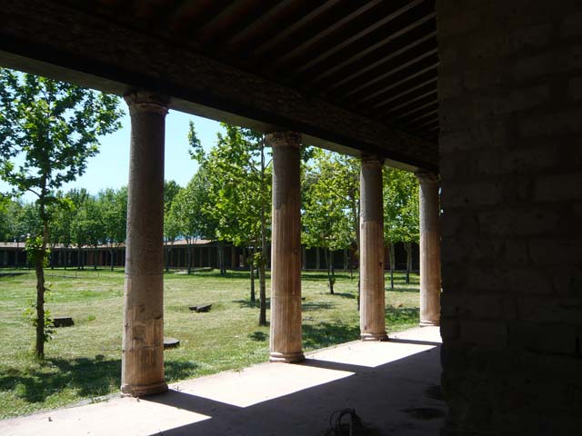 II.7.6 Pompeii, May 2012. Looking south-west across the Palaestra from entrance.
Photo courtesy of Buzz Ferebee.
