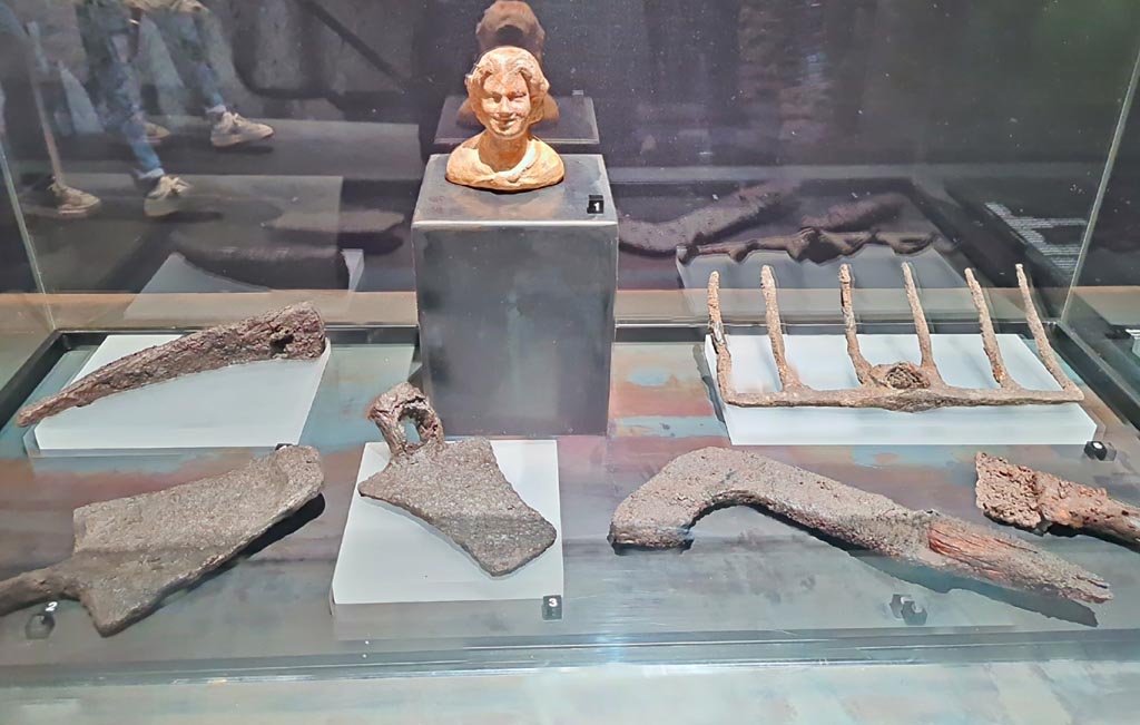 II.7.9 Pompeii. On display in exhibition in Palaestra entitled – “L’altra Pompei, vite comuni all’ombra del Vesuvio”. March 2024.
Photo courtesy of Giuseppe Ciaramella.
1 - Bust of young satyr, Terracotta, First half of Ist century BC., from Doric temple, VIII.7.31. 
1 - (Busto di giovane satiro, Terracotta, prima meta I sec. a.C. Tempio Dorico. VIII.7.31.)
2 – 7 Iron farming tools (Strumenti agricoli i ferro) – See description card below (Vedi la scheda descrittiva qui sotto).
