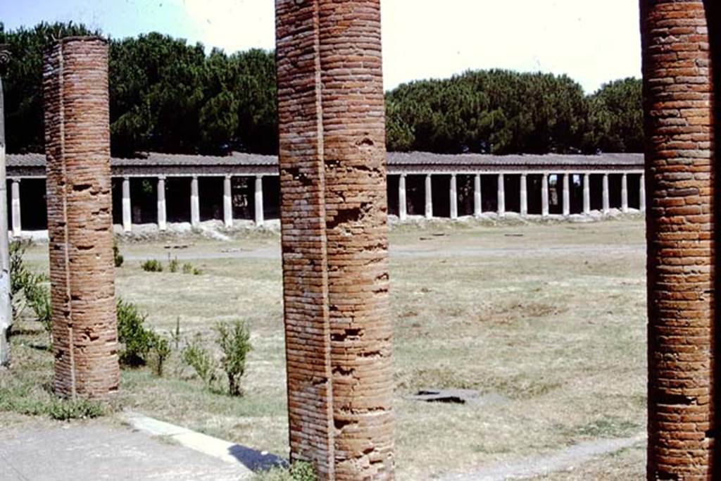 II.7.9 Pompeii. Palaestra. 1972. Looking north-east.  Photo by Stanley A. Jashemski. 
Source: The Wilhelmina and Stanley A. Jashemski archive in the University of Maryland Library, Special Collections (See collection page) and made available under the Creative Commons Attribution-Non Commercial License v.4. See Licence and use details. J72f0426
