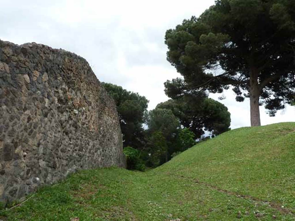 Looking east through extra unnumbered entrance along south side wall of II.8.1. May 2010.