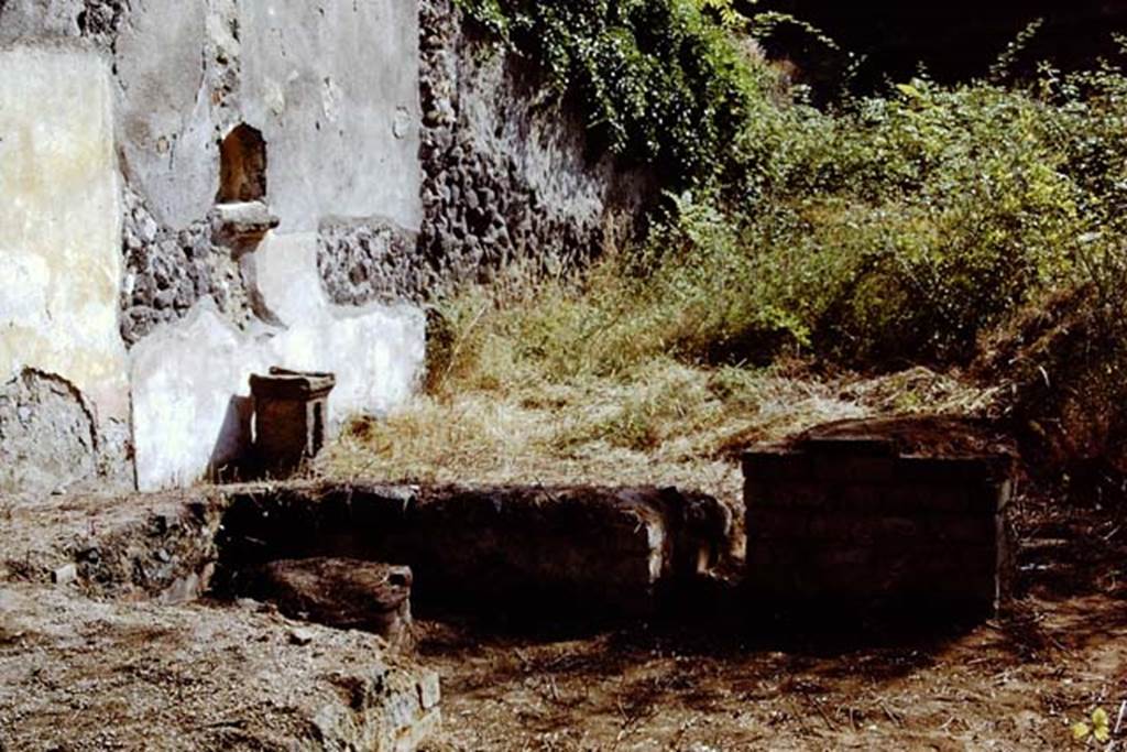 II.8.2 Pompeii. 1968. Looking east along the north wall across the triclinium, towards the altar and niche. Photo by Stanley A. Jashemski.
Source: The Wilhelmina and Stanley A. Jashemski archive in the University of Maryland Library, Special Collections (See collection page) and made available under the Creative Commons Attribution-Non Commercial License v.4. See Licence and use details. Jmit0046
