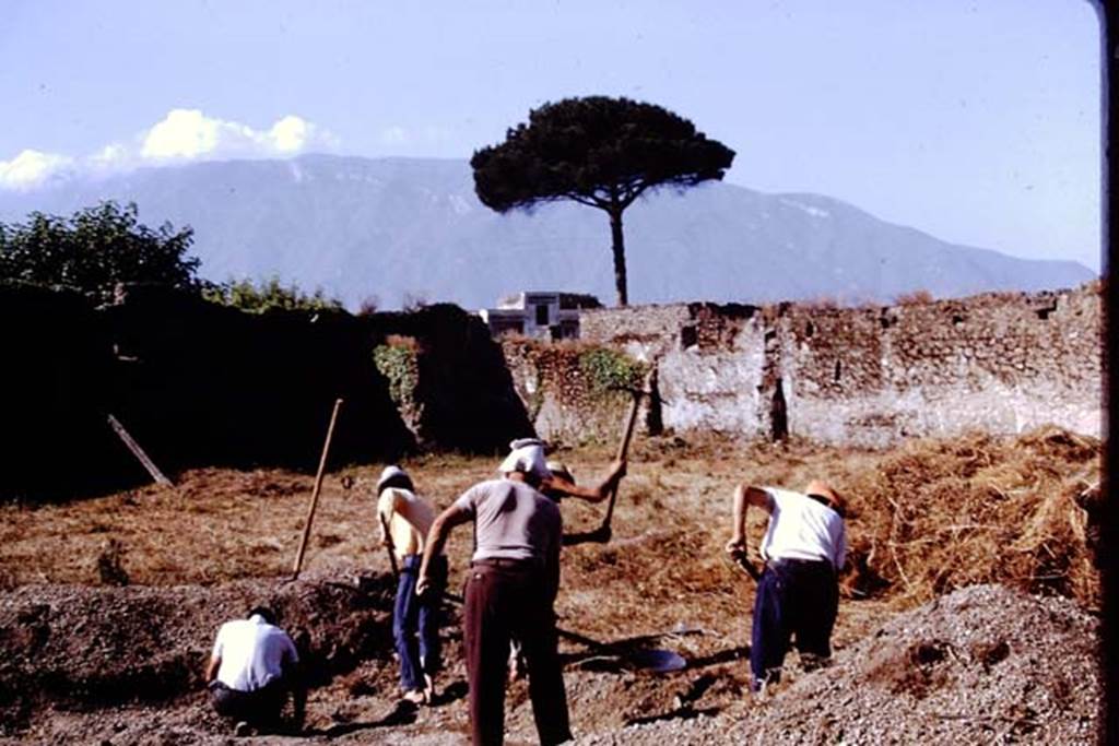 II.8.6 Pompeii. 1972. Looking south-west. Photo by Stanley A. Jashemski. 
Source: The Wilhelmina and Stanley A. Jashemski archive in the University of Maryland Library, Special Collections (See collection page) and made available under the Creative Commons Attribution-Non Commercial License v.4. See Licence and use details. J72f0146
