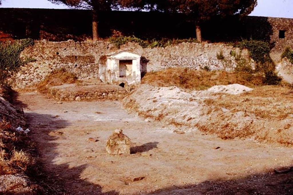 II.8.6 Pompeii. 1972. Looking towards the Lararium near the garden east wall. Photo by Stanley A. Jashemski. 
Source: The Wilhelmina and Stanley A. Jashemski archive in the University of Maryland Library, Special Collections (See collection page) and made available under the Creative Commons Attribution-Non Commercial License v.4. See Licence and use details. J72f0166
