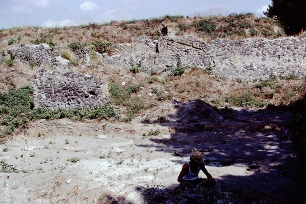 II.8.6 Pompeii. 1972. Looking north in north-east corner which has not been fully excavated. Photo by Stanley A. Jashemski. 
Source: The Wilhelmina and Stanley A. Jashemski archive in the University of Maryland Library, Special Collections (See collection page) and made available under the Creative Commons Attribution-Non Commercial License v.4. See Licence and use details. J72f0676
