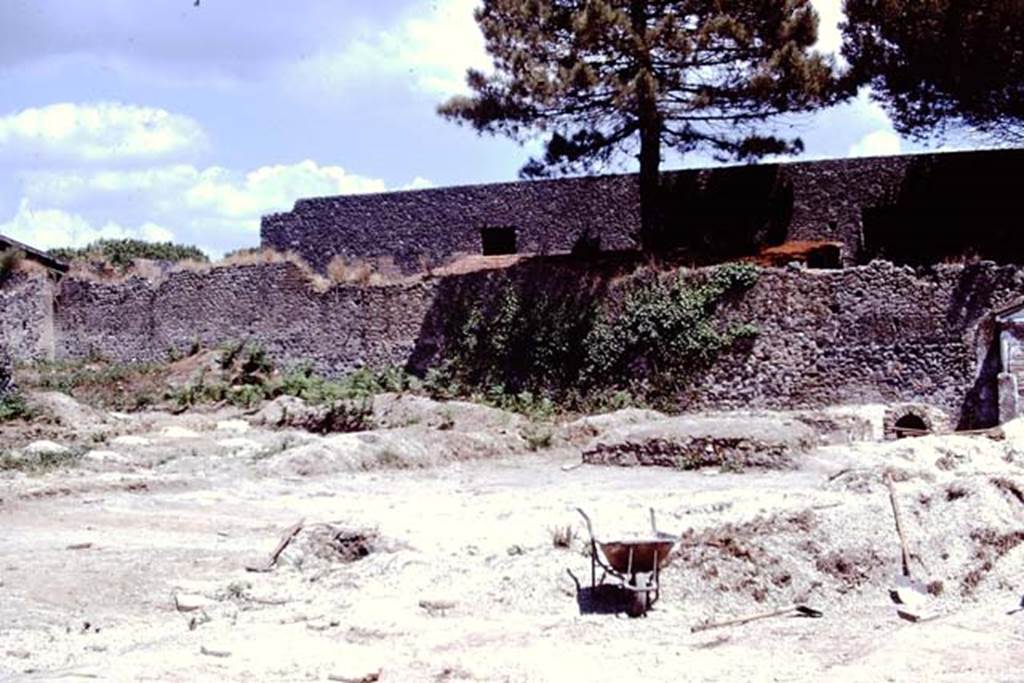 II.8.6 Pompeii. 1972. Looking towards north-east corner of garden area. Photo by Stanley A. Jashemski. 
Source: The Wilhelmina and Stanley A. Jashemski archive in the University of Maryland Library, Special Collections (See collection page) and made available under the Creative Commons Attribution-Non Commercial License v.4. See Licence and use details. J72f0691
