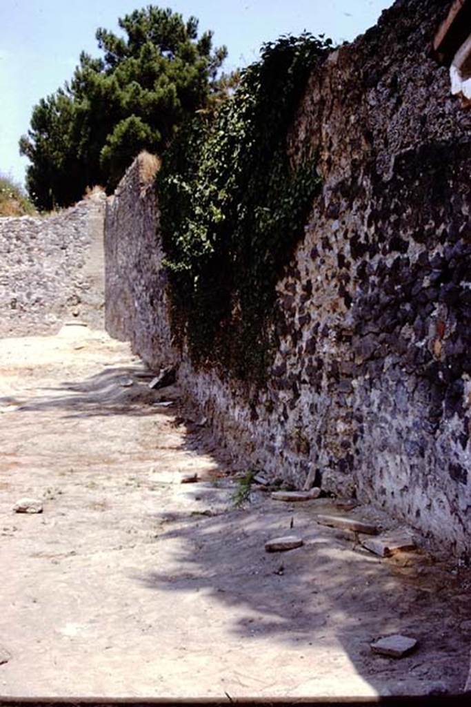 II.8.6 Pompeii, 1973. Looking north along east wall towards buried dolium. Photo by Stanley A. Jashemski. 
Source: The Wilhelmina and Stanley A. Jashemski archive in the University of Maryland Library, Special Collections (See collection page) and made available under the Creative Commons Attribution-Non Commercial License v.4. See Licence and use details. J73f0802
