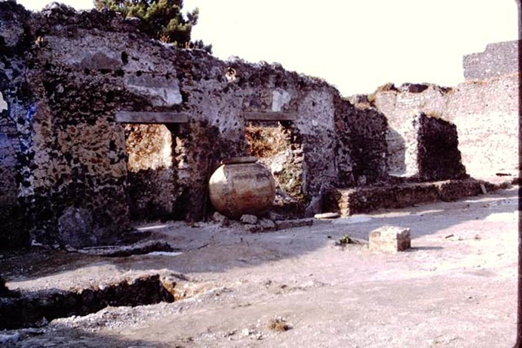 II.8.6 Pompeii, 1973. Looking east along north wall of garden area. Photo by Stanley A. Jashemski. 
Source: The Wilhelmina and Stanley A. Jashemski archive in the University of Maryland Library, Special Collections (See collection page) and made available under the Creative Commons Attribution-Non Commercial License v.4. See Licence and use details. J73f0515
