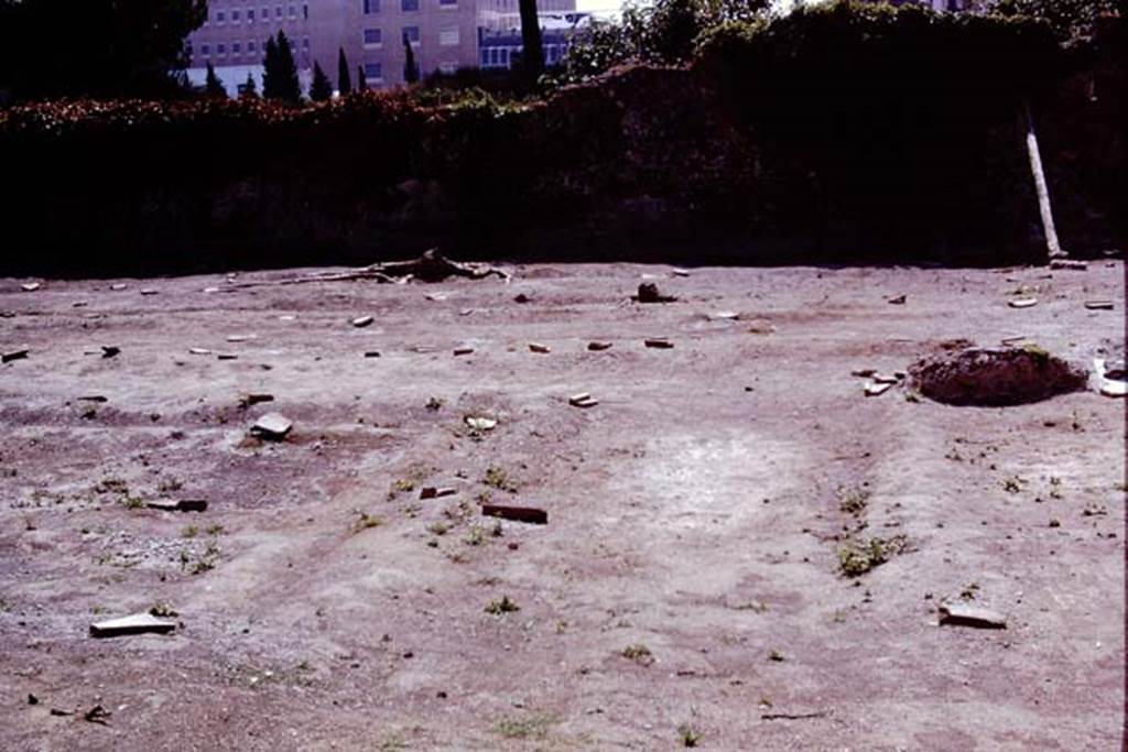 II.8.6. Pompeii, 1973. Looking south across site. Photo by Stanley A. Jashemski. 
Source: The Wilhelmina and Stanley A. Jashemski archive in the University of Maryland Library, Special Collections (See collection page) and made available under the Creative Commons Attribution-Non Commercial License v.4. See Licence and use details. J73f0672
