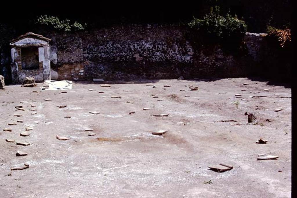 II.8.6 Pompeii, 1973. Looking east across root cavities. Photo by Stanley A. Jashemski. 
Source: The Wilhelmina and Stanley A. Jashemski archive in the University of Maryland Library, Special Collections (See collection page) and made available under the Creative Commons Attribution-Non Commercial License v.4. See Licence and use details. J73f0779
