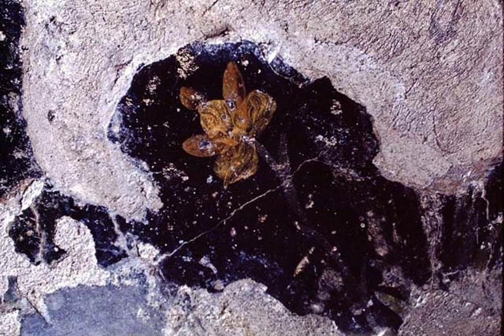 III.2.1 Pompeii. 1968. Room 20, detail of painted plaster from west wall below square niche of summer triclinium.  
Photo by Stanley A. Jashemski.
Source: The Wilhelmina and Stanley A. Jashemski archive in the University of Maryland Library, Special Collections (See collection page) and made available under the Creative Commons Attribution-Non Commercial License v.4. See Licence and use details.
J68f0387
