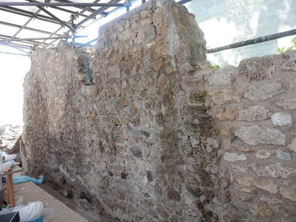 III.3.7, Pompeii. May 2018. Looking south along west wall. Photo courtesy of Buzz Ferebee.