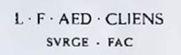 Inscription in red letters to CAIUM LOLLIUM FUSCUM.
The Epigraphik-Datenbank Clauss/Slaby (See www.manfredclauss.de) has

[C(aium)] L(ollium) F(uscum) aed(ilem) cliens / surge fac(iat)      [CIL IV, 7668]
