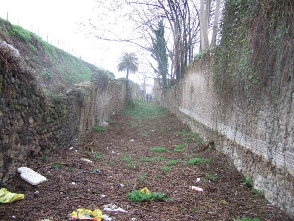 III.4 Pompeii. December 2005.    Vicolo di Ifigenia, looking south.                                  III.3.

