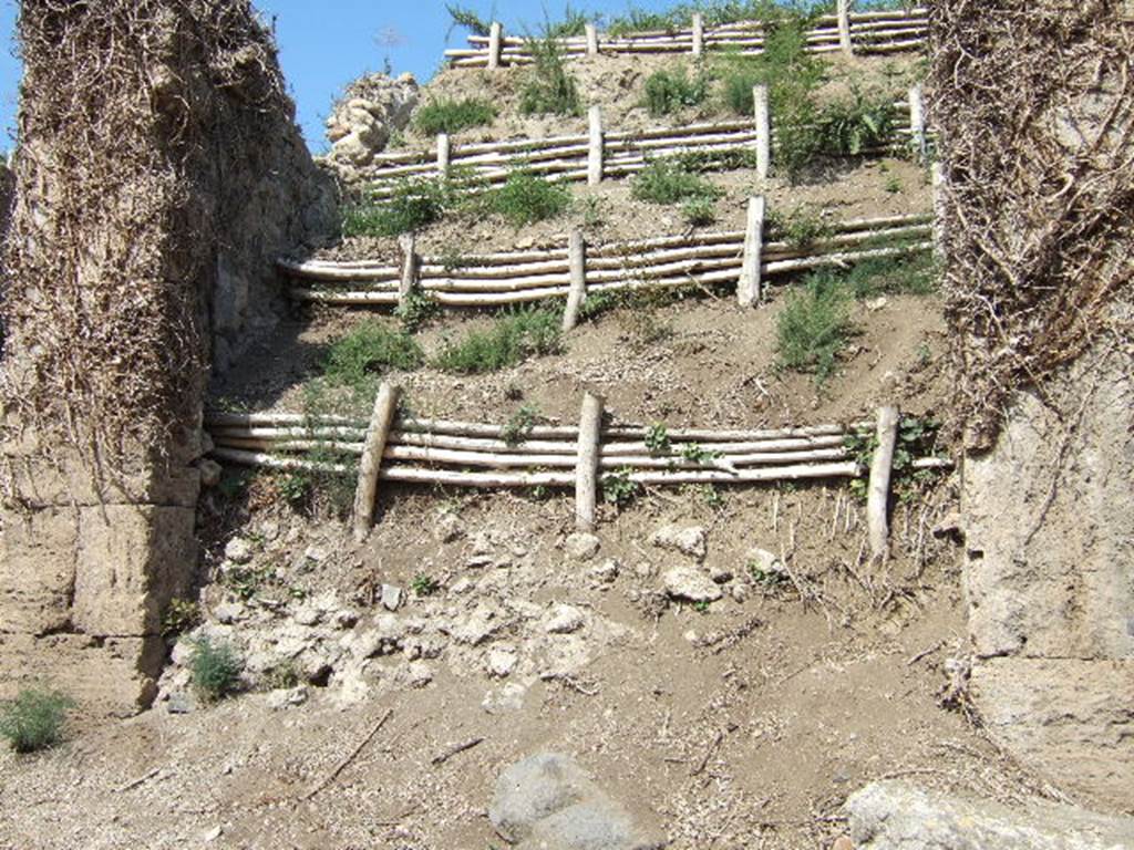 III.7.1 Pompeii. September 2005. South-west corner of insula, and looking north into III.7.1.