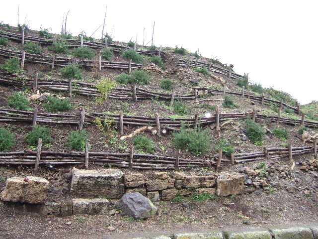 III.7.1, centre left, and III.7.2, on right. December 2005. Front of insula III.7 on Via dell’Abbondanza, looking west

