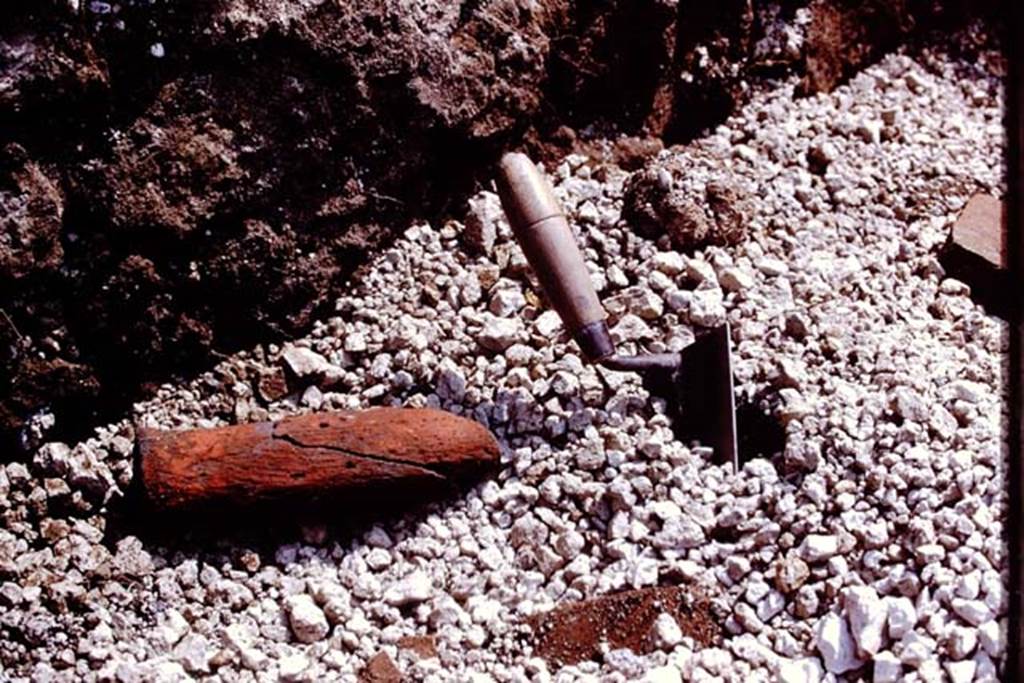 III.7 Pompeii. 1976. Large red phallus discovered at the base of the wall. It was about 9 inches long, and broken into three pieces. Found nearby was the tip of a smaller red phallus. Photo by Stanley A. Jashemski.   
Source: The Wilhelmina and Stanley A. Jashemski archive in the University of Maryland Library, Special Collections (See collection page) and made available under the Creative Commons Attribution-Non Commercial License v.4. See Licence and use details. J76f0435
