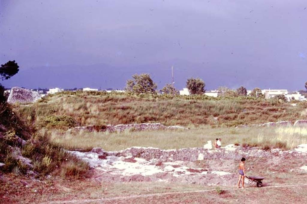 III.7 Pompeii. 1976. Looking east across site, and into rectangular area. Photo by Stanley A. Jashemski.   
Source: The Wilhelmina and Stanley A. Jashemski archive in the University of Maryland Library, Special Collections (See collection page) and made available under the Creative Commons Attribution-Non Commercial License v.4. See Licence and use details. J76f0461
