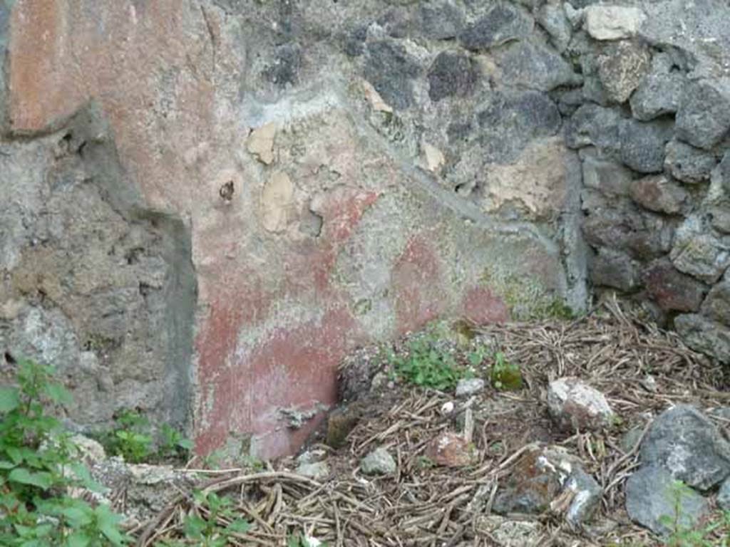 III.8.4 Pompeii. May 2010.  Painted plaster in north-west corner of atrium.