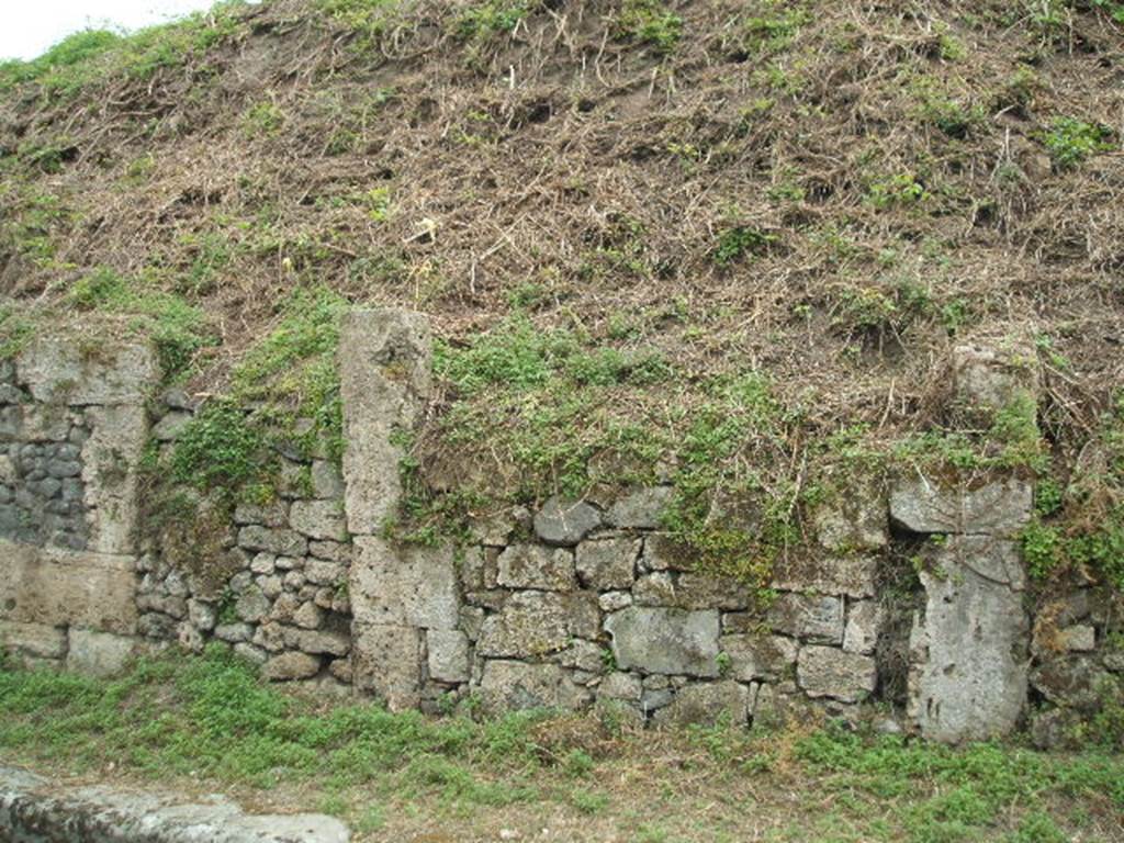 III.9.2 Pompeii (on left) and III.9.1 (on right).  May 2005. Site of entrances. According to Liselotte Eschebach the left pilaster had a painting of a large peacock. She suggests this may be the painting identified by Frhlich as F32. Frhlich identifies a bird with a comb on its head. He says it is not a cockerel but may possibly be a Phoenix. See Eschebach, L., 1993. Gebudeverzeichnis und Stadtplan der antiken Stadt Pompeji. Kln: Bhlau. (p. 112). See Frhlich, T., 1991. Lararien und Fassadenbilder in den Vesuvstdten. Mainz: von Zabern. (p. 318, F32).