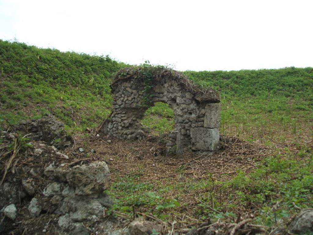 Wall between houses at III.10.3 Pompeii and III.10.1. May 2005. Taken from the front of III.10.3, looking south west. Remains of rear side separating wall between houses on the west side of III.10.3 and on the east side of III.10.1.