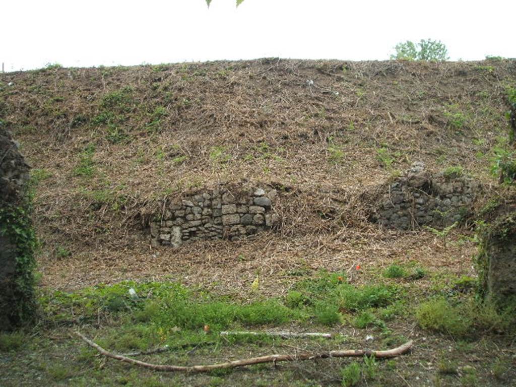 III.11.4 Pompeii. May 2005. Entrance on left.  The entrance of the rear back room can just be seen (filled in) between two areas of wall.
III.11.3 is also in this picture, on the right, as the dividing wall has collapsed and been removed.


It is difficult to reconcile the entrances in this insula with the plans as the entrances onto Via Nola have been filled in or are unexcavated.
