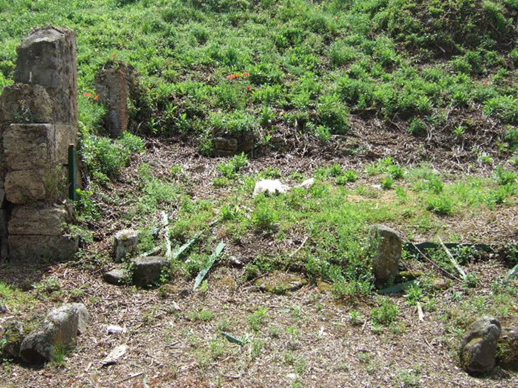 III.11.7 Pompeii. May 2006. Two pilasters of entrance from vicolo can be seen to the left of ramp of III.11.6.