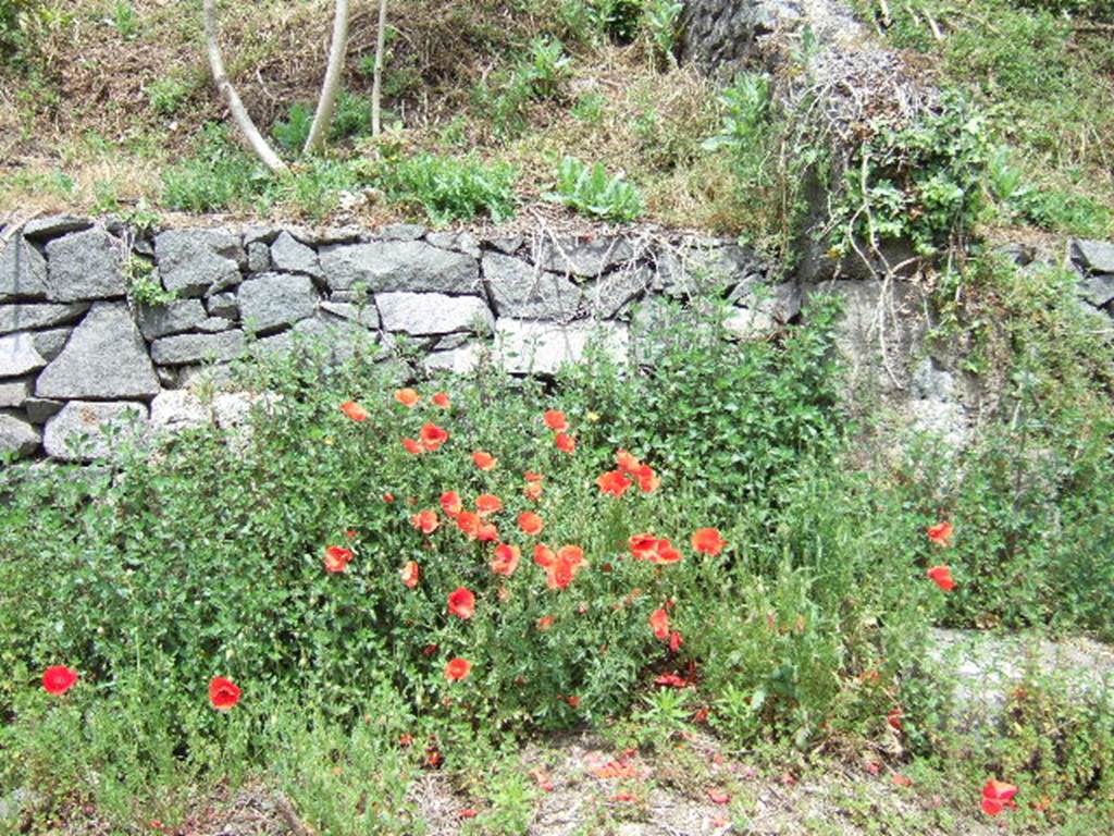 IV.3.g Pompeii. May 2006.