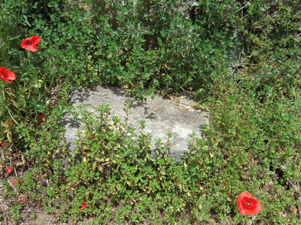 Pompeii. May 2006. Stone between IV.3.f and IV.3.g 