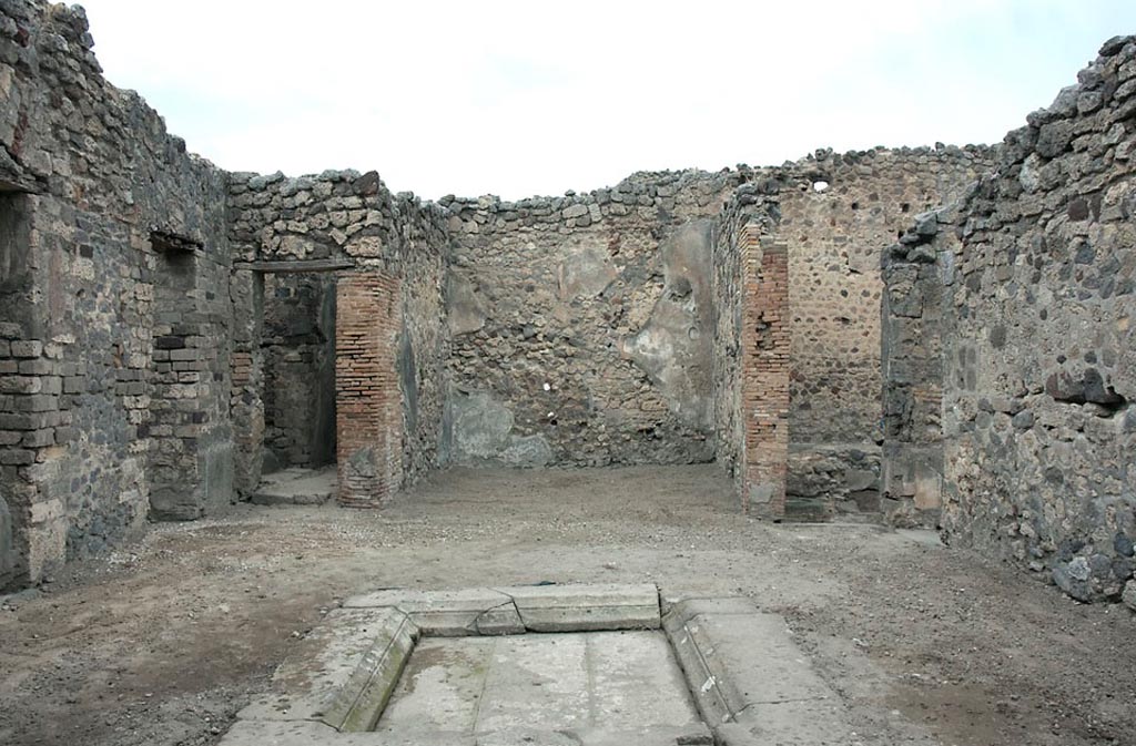 V.1.3 Pompeii. c.2008-10. Looking north across impluvium in atrium. Photo by Hans Thorwid.
Photo courtesy of the Swedish Pompeii Project. 
