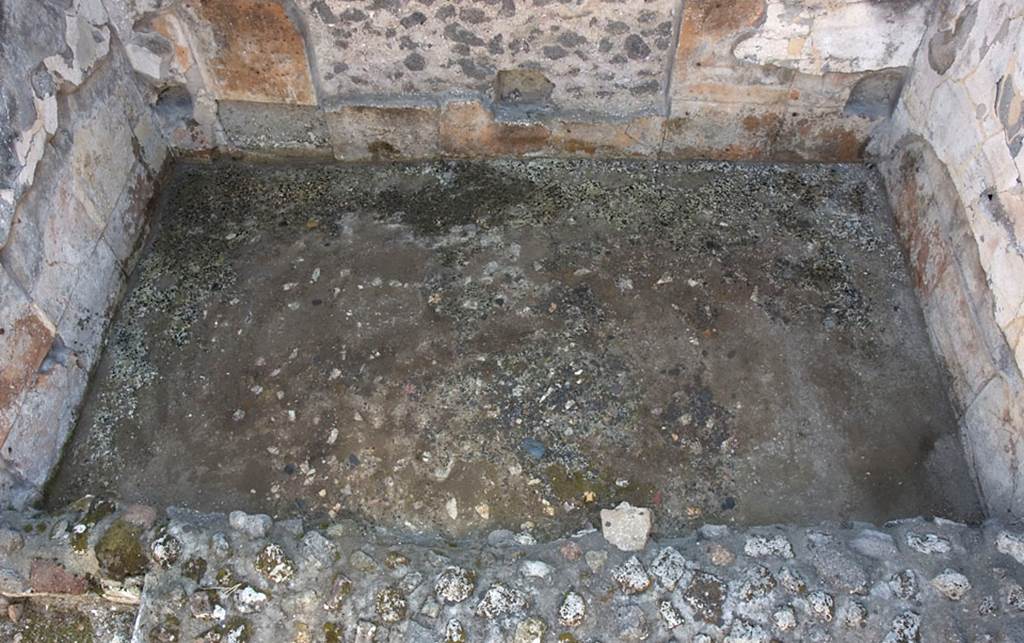 V.1.7 Pompeii. c.2005-7. Room 14, floor of west ala, when wet. Photo by Hans Thorwid. 
Photo courtesy of the Swedish Pompeii Project. 

