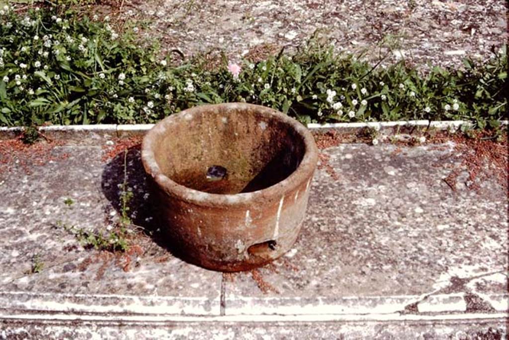 V.1.7 Pompeii. 1984. Detail of terracotta pot, on south end of impluvium. Source: The Wilhelmina and Stanley A. Jashemski archive in the University of Maryland Library, Special Collections (See collection page) and made available under the Creative Commons Attribution-Non Commercial License v.4. See Licence and use details.
J84f0029 
