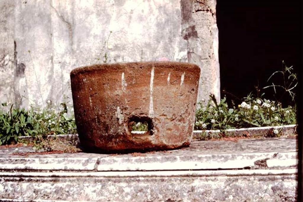 V.1.7 Pompeii, 7th August 1976. Room 1, looking from atrium with model of bull in situ, across tablinum to peristyle area.
Photo courtesy of Rick Bauer, from Dr George Fay’s slides collection.
