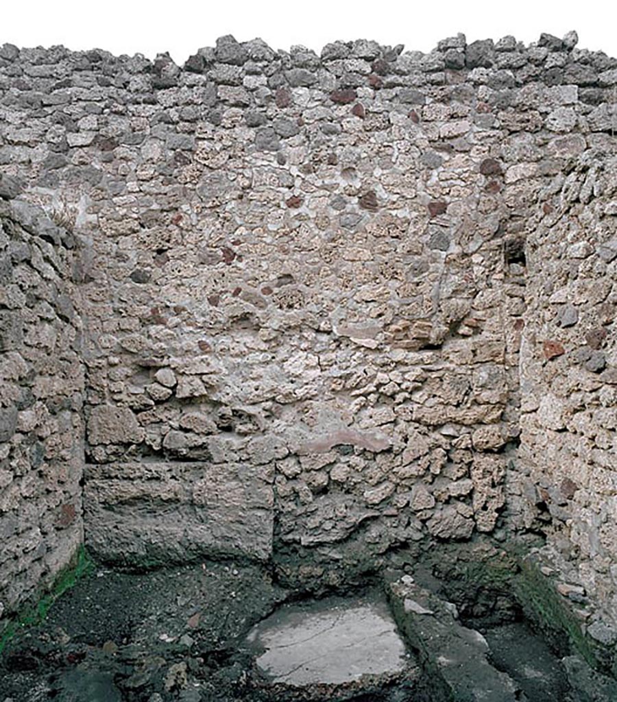 V.1.11 Pompeii. c.2005-7? Room “x”, north wall. Photo by Hans Thorwid.
Photo courtesy of The Swedish Pompeii Project.
