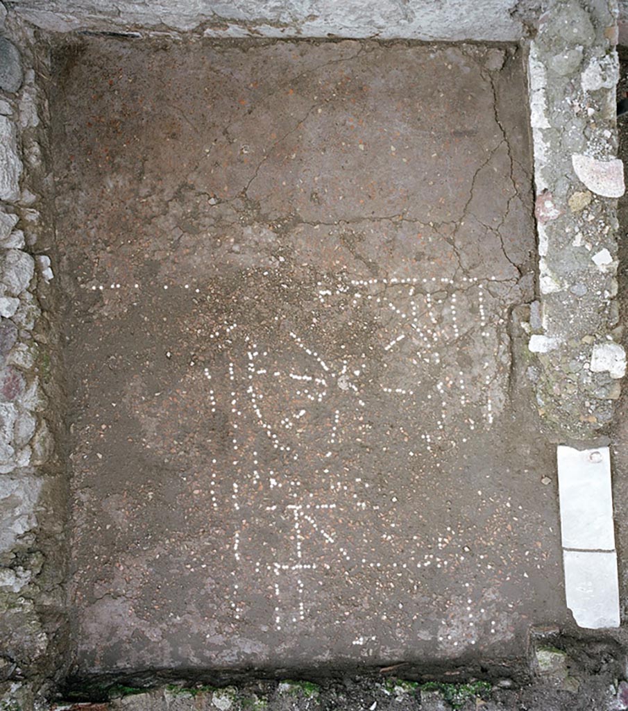 V.1.13 Pompeii. Post 2005.
The enhanced mosaic pattern of the floor in room “e”. 
Photo by Hans Thorwid and Henrik Boman. 
Photo courtesy of the Swedish Pompeii Project.
