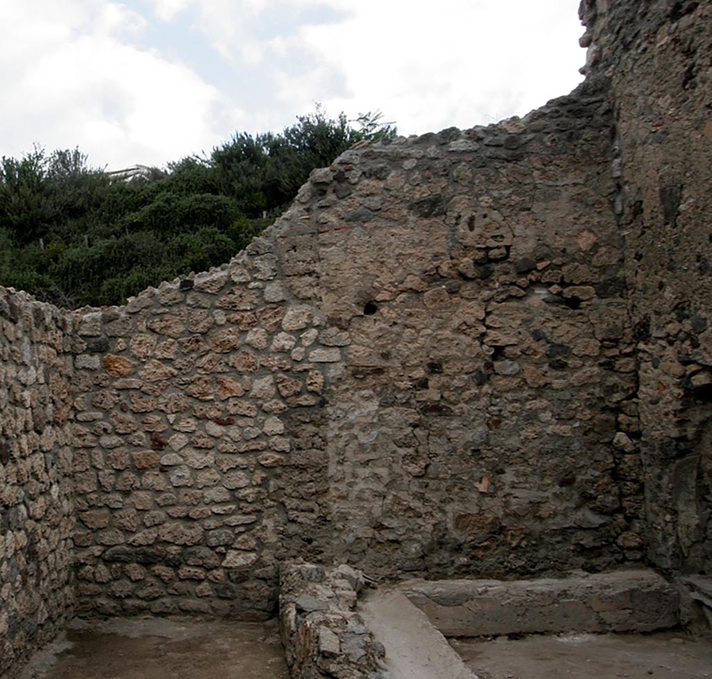 V.1.15 Pompeii. 2012. 
North wall in 2012, with the viridarium cleared. On the right is a low bench. Photo by Henrik Boman.  
Photo courtesy of the Swedish Pompeii Project.
