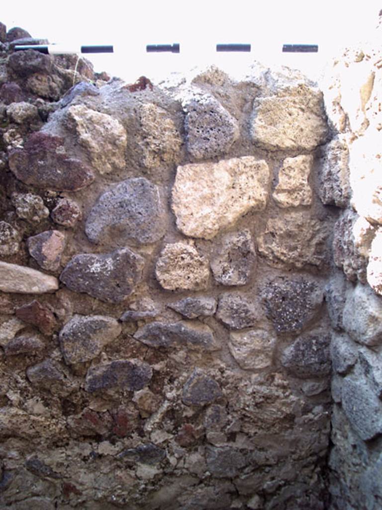 V.1.15 Pompeii. September 2009. 
West wall in north-west corner of kitchen. Photo courtesy of Jared Benton.

