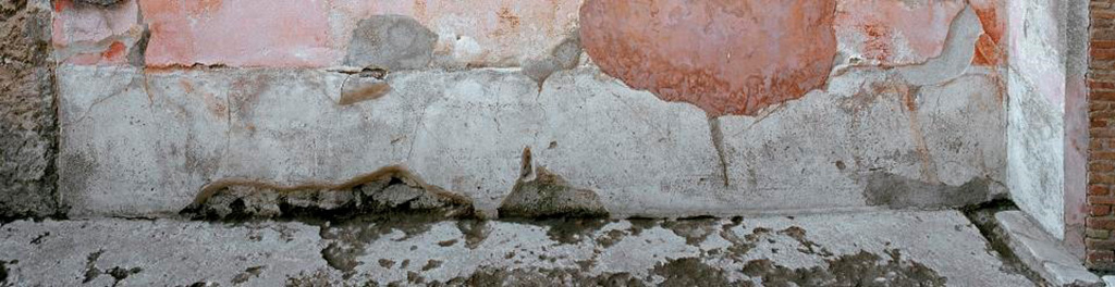 V.1.18 Pompeii. c.2005-2008. Tablinum “g”, zoccolo (socle) of north wall. Photo by Hans Thorwid.
Photo courtesy of The Swedish Pompeii Project.
