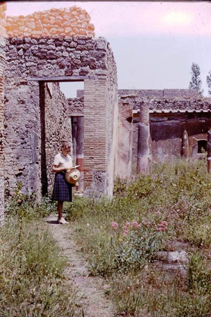 V.1.18 Pompeii. 1964. East wall of ala “e”, and doorway to corridor “h” leading to peristyle “i”.
Photo by Stanley A. Jashemski.
Source: The Wilhelmina and Stanley A. Jashemski archive in the University of Maryland Library, Special Collections (See collection page) and made available under the Creative Commons Attribution-Non Commercial License v.4. See Licence and use details.
J64f0899
