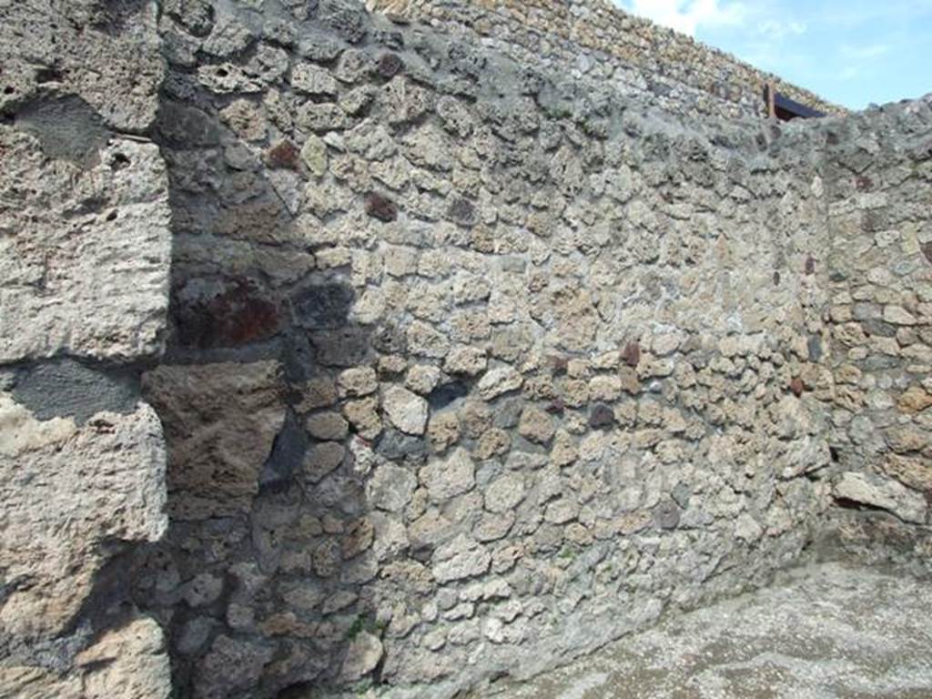 V.1.19 Pompeii. March 2009.  North wall.