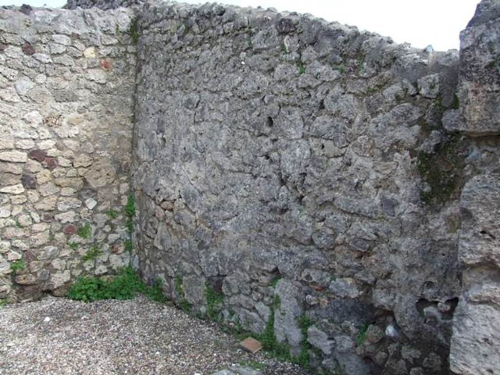 V.1.19 Pompeii. March 2009. South-east corner and south wall.