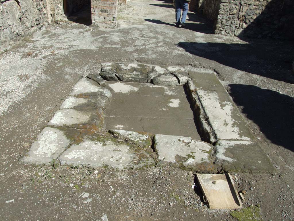 V.1.23 Pompeii. March 2009. Room 1, impluvium in atrium. Looking east.